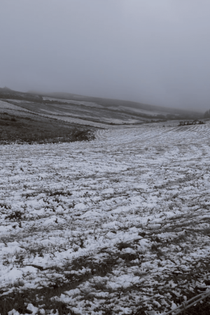 Montalegre vestiu-se de branco: fomos perceber como o município responde à queda de neve